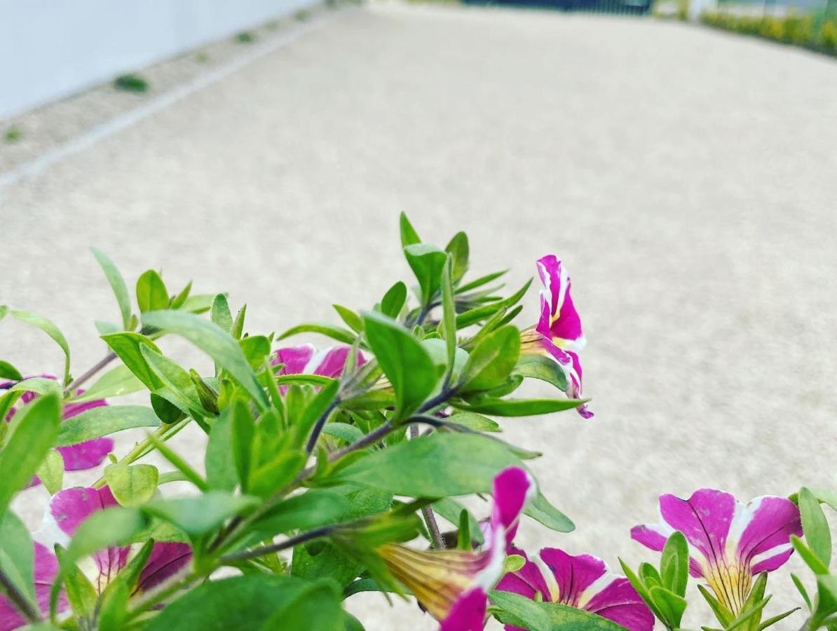 K&J Domki Letniskowe Bedzino Ngoại thất bức ảnh